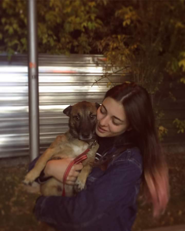 ცხოველთა უფლებების დამცველს წნორში ფიზიკურად გასუსწორდნენ ცხოველთა უფლებების დამცველს წნორში ფიზიკურად გასუსწორდნენ
