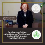 “კოლეგიალური მუშაობით, სხვებისადმი პატივისცემით და საკუთარი თავისადმი რწმენით ბევრი რამის გადალახვა და მიღწევაა შესაძლებელი” – ეთერ ბერიძე-მელიქიშვილი