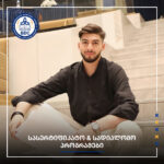 ახალგაზრდა მკვლევარი განათლების სამყაროში – ვაკო ყორღანაშვილი